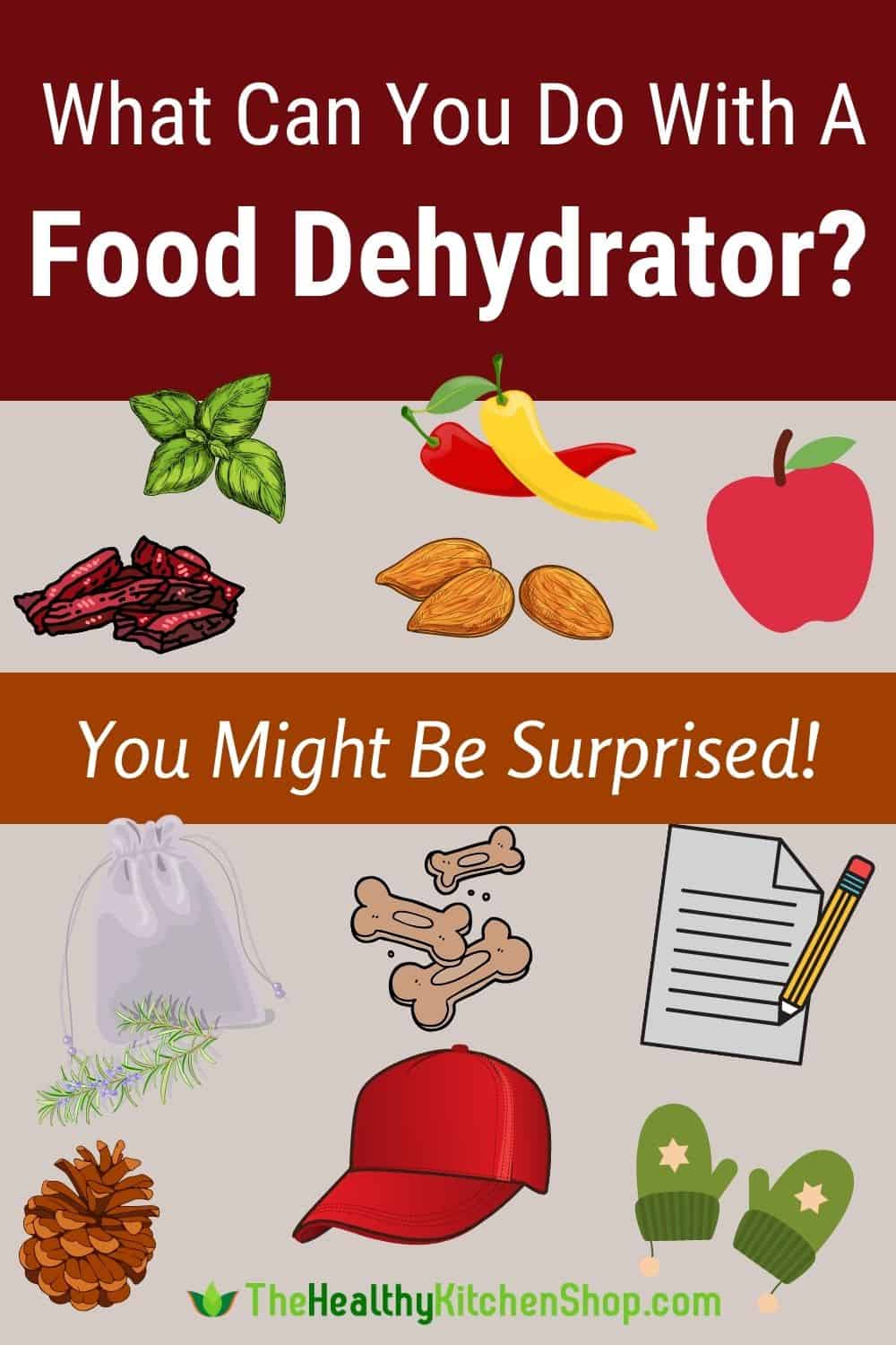 What can you do with a food dehydrator?