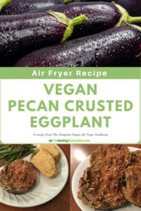 Vegan Air Fryer Recipe forPecan Crusted Eggplant Recipe - a vegan air fryer recipe from The Complete Vegan Air Fryer Cookbook