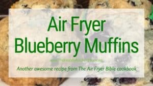 Air Fryer Blueberry Muffins Recipe from The Air Fryer Bible Cookbook